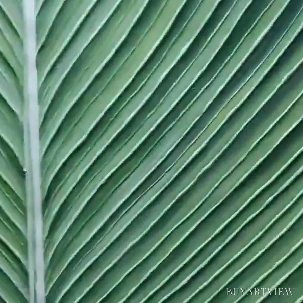 BUYARTVIEW Tropical Serenity – Minimalist Botanical Painting, Green Leaf , Vertical Canvas - image 6